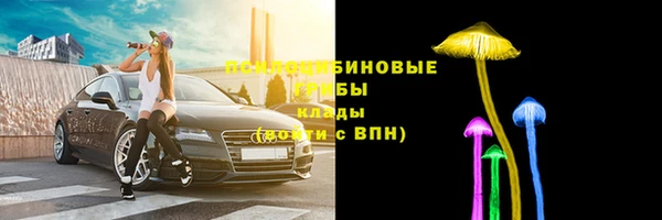 винт Богородицк