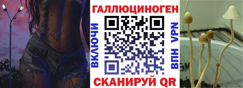 цены   Кологрив  Псилоцибиновые грибы прущие грибы 